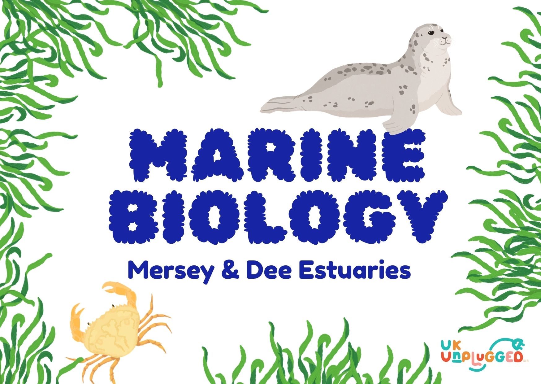 Cartoon Marine Biology with crab and seal