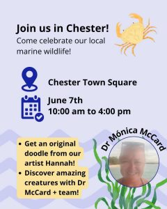 June 7th 10-4 pm Chester Town Square