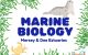 Cartoon Marine Biology with crab and seal