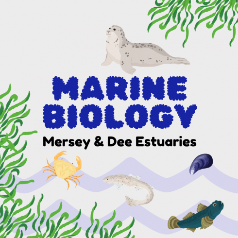 Marine Biology, Mersey & Dee Estuaries